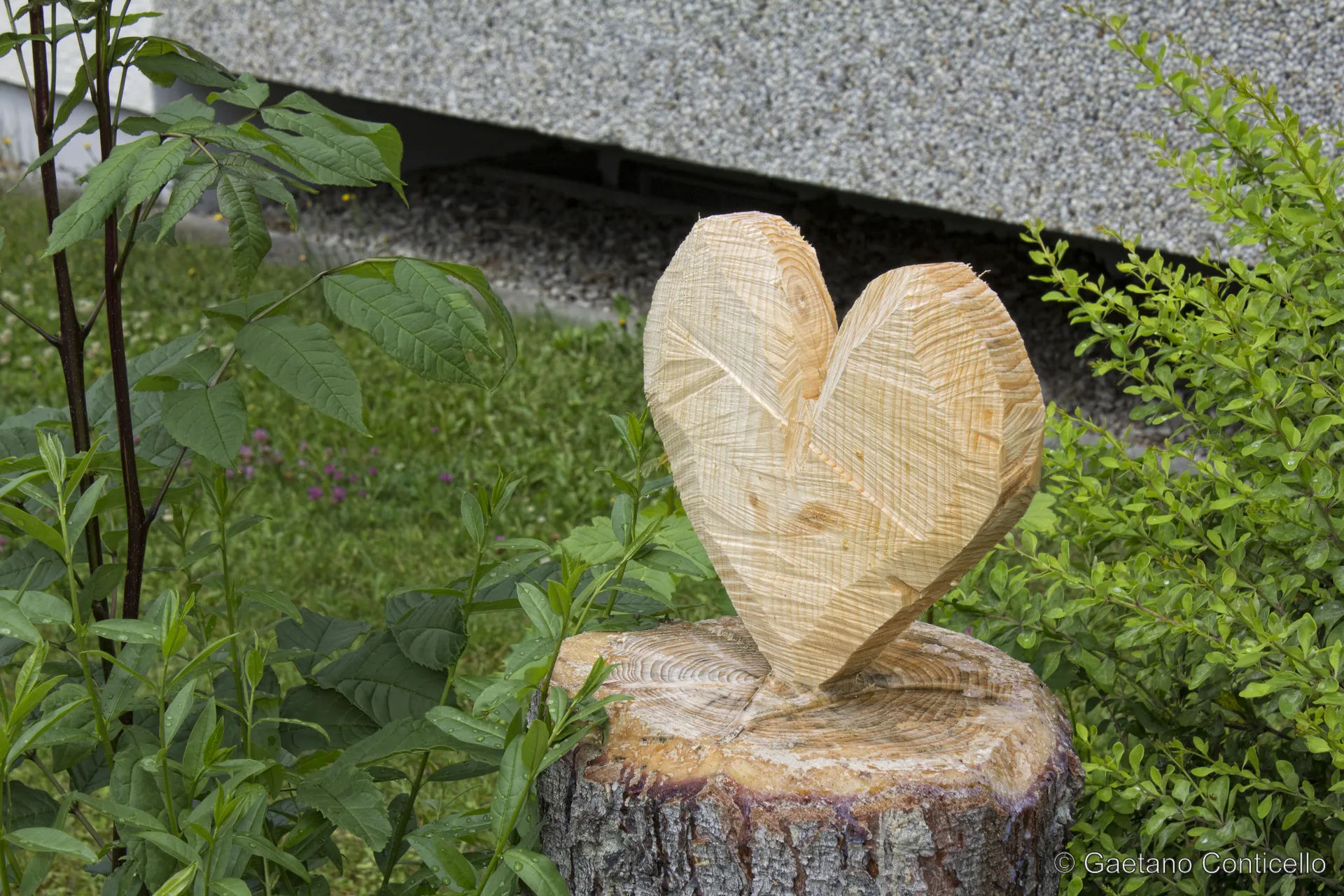 Cuore di legno intagliato