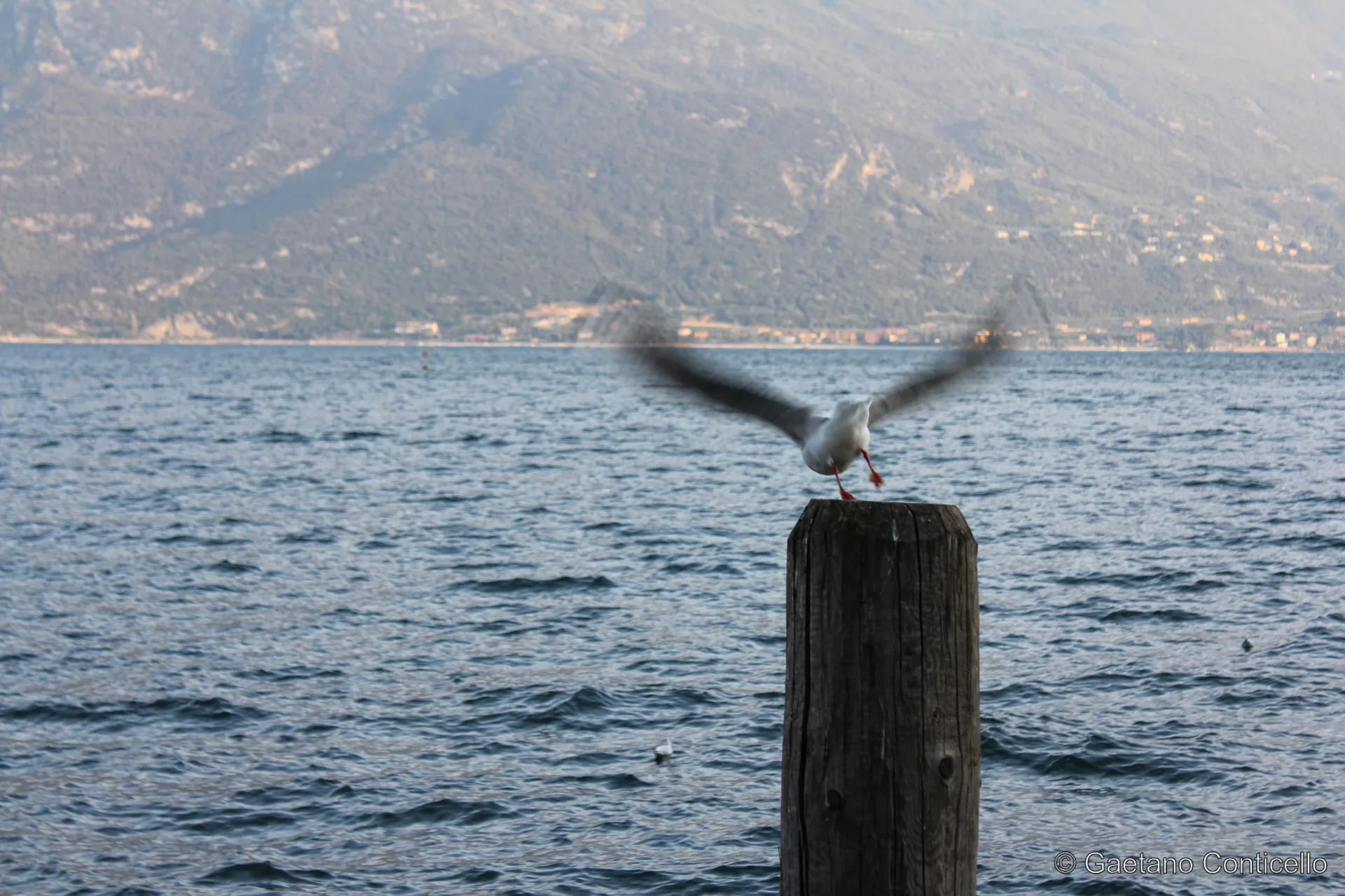 Atterraggio sul lago